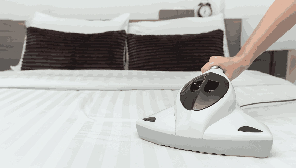 Professional Mattress Cleaning Ormond