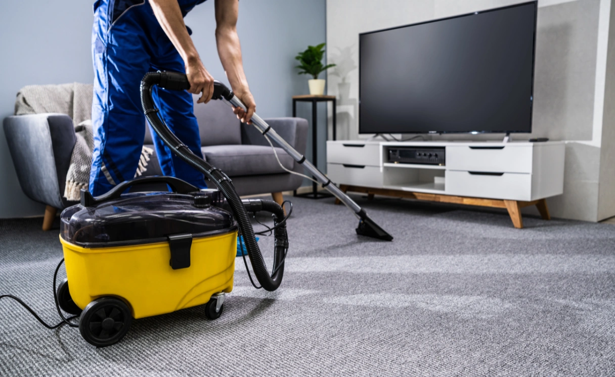 Extract Mattress Cleaning Ormond Contact Office